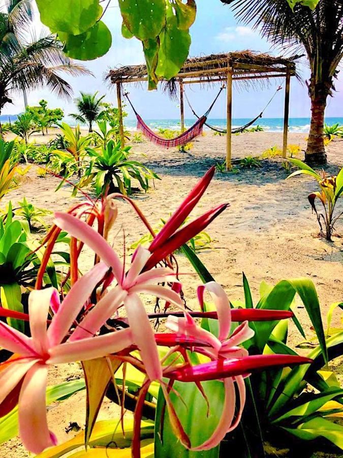 Seaside Garden Ecolodge Момпиче Экстерьер фото